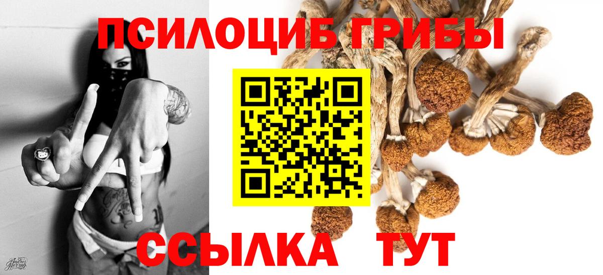 Мичуринск  Галлюциногенные грибы ЛСД  Вход с VPN 